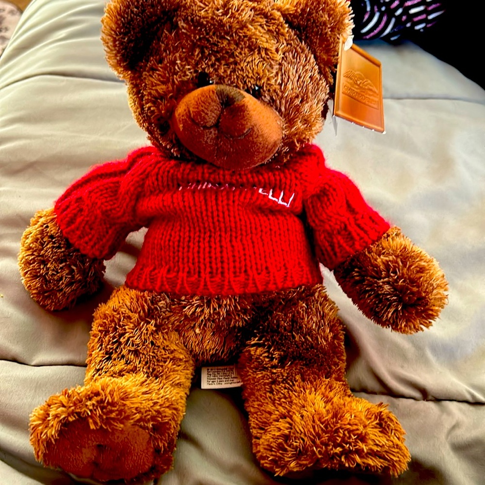 Ghirardelli bear with red sweater